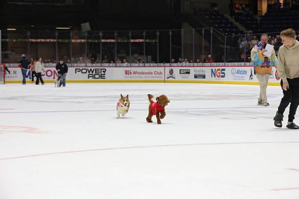 Macon Mayhem_260117_IMG_2285