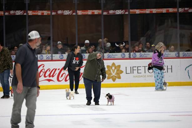 Macon Mayhem_260117_IMG_2267