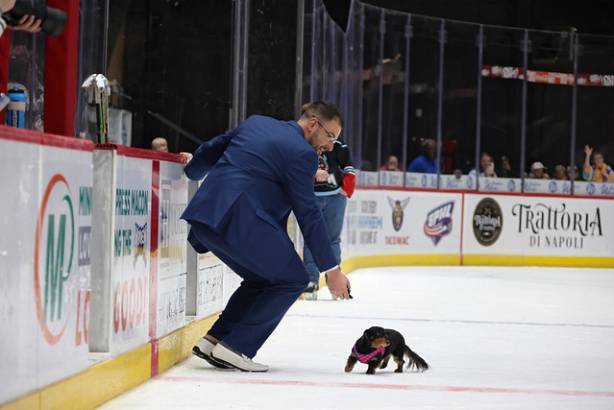 Macon Mayhem_260117_IMG_2402