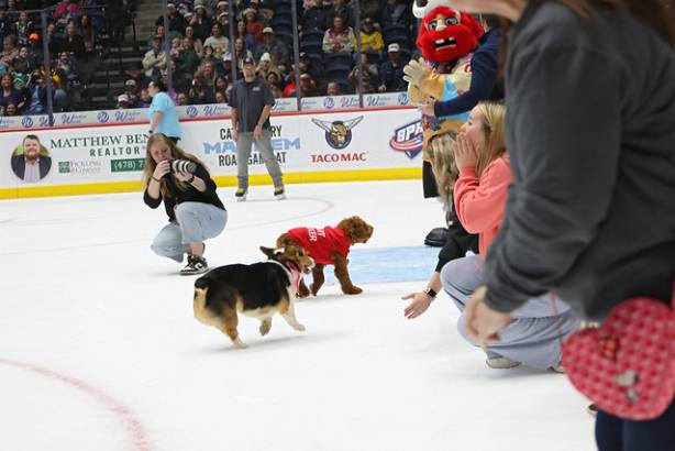 Macon Mayhem_260117_IMG_2299