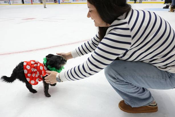 Macon Mayhem_260117_IMG_2312