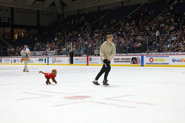 Macon Mayhem_260117_IMG_2288