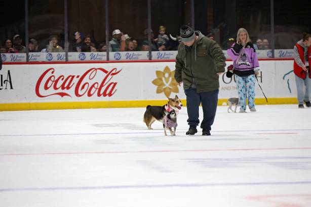 Macon Mayhem_260117_IMG_2272