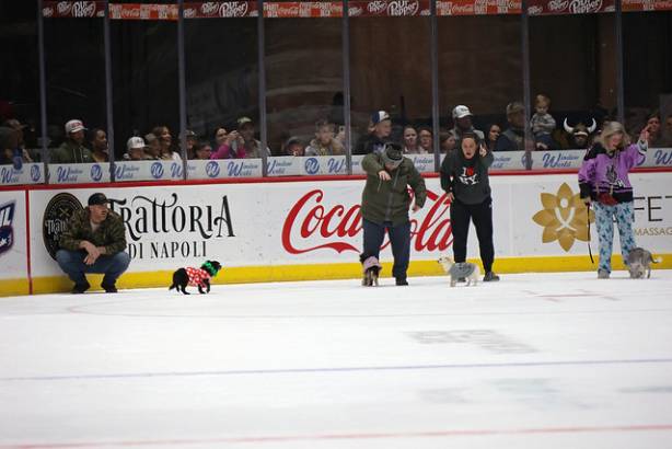 Macon Mayhem_260117_IMG_2236