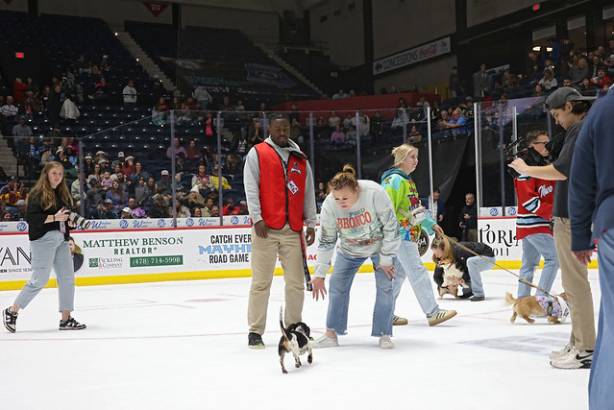 Macon Mayhem_260117_IMG_3574