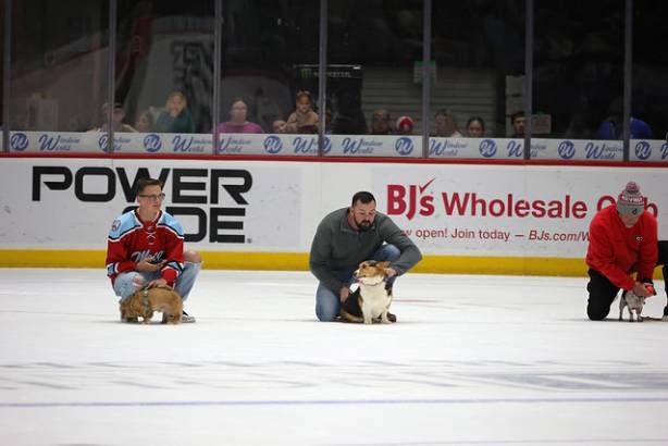 Macon Mayhem_260117_IMG_3507