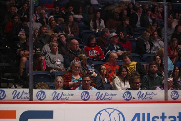 Macon Mayhem_260117_IMG_2502