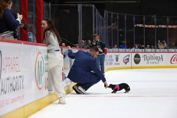 Macon Mayhem_260117_IMG_2395