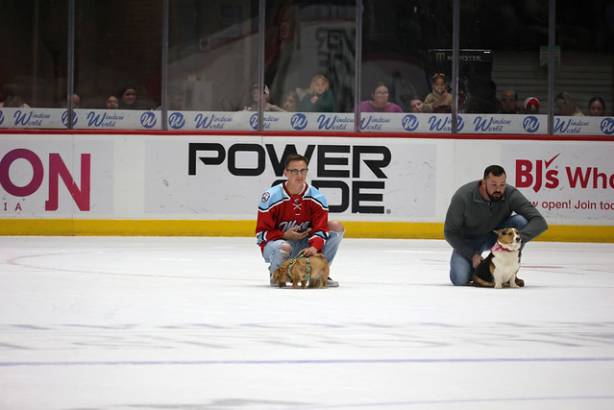 Macon Mayhem_260117_IMG_3506