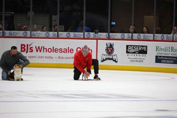 Macon Mayhem_260117_IMG_3508