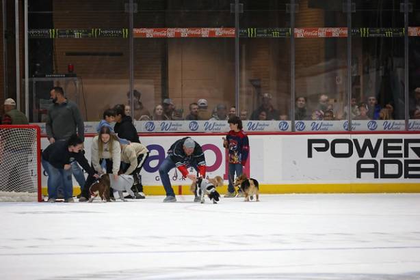 Macon Mayhem_260117_IMG_2257