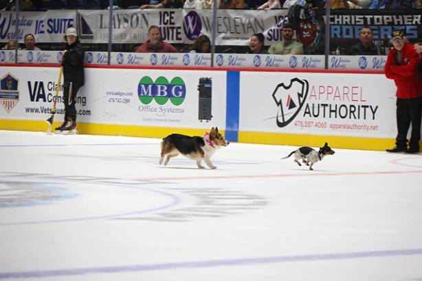 Macon Mayhem_260117_IMG_3509