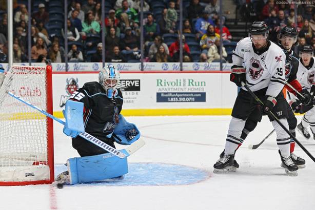 Macon Mayhem_260116_IMG_2337_MHP