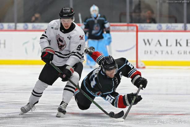 Macon Mayhem_260116_IMG_5302_MHP