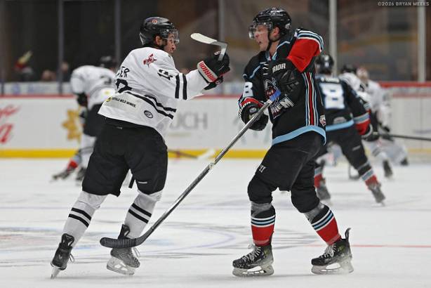 Macon Mayhem_260116_IMG_2611_MHP