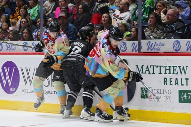 Macon Mayhem_260117_IMG_2813_MHP