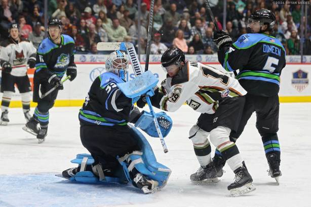 Macon Mayhem_260228_IMG_5557_MHP