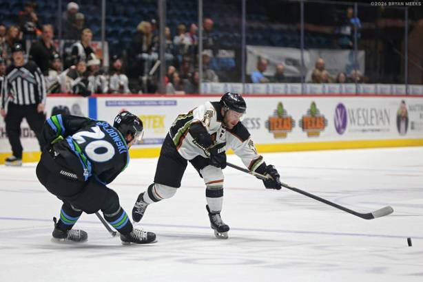 Macon Mayhem_260228_IMG_2588_MHP