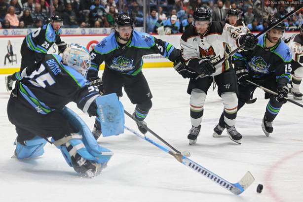 Macon Mayhem_260228_IMG_5507_MHP