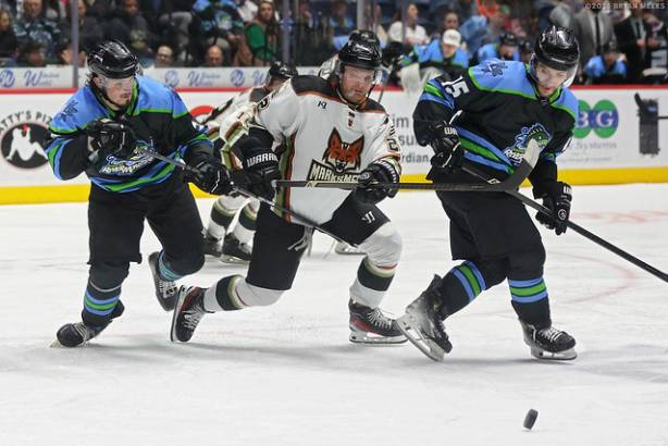 Macon Mayhem_260228_IMG_5505_MHP